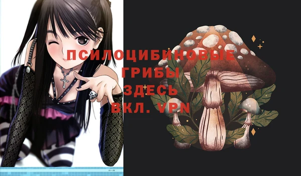 стаф Вязьма